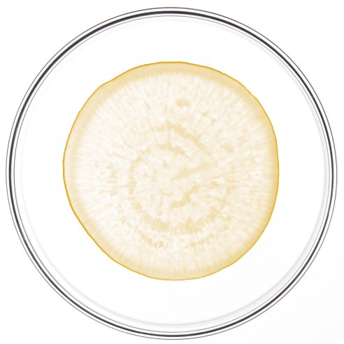 PHYTOCYANE ANTICAIDA PROGRESIVA MUJER PHYTO AMPOLLAS