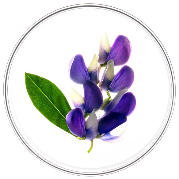 PHYTOCYANE ANTICAIDA PROGRESIVA MUJER PHYTO...